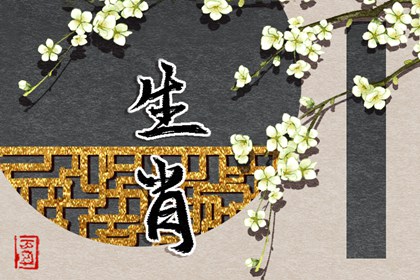 二婚命理测算_解读生辰八字_金匮八字神煞_排盘问真_身成八字解释